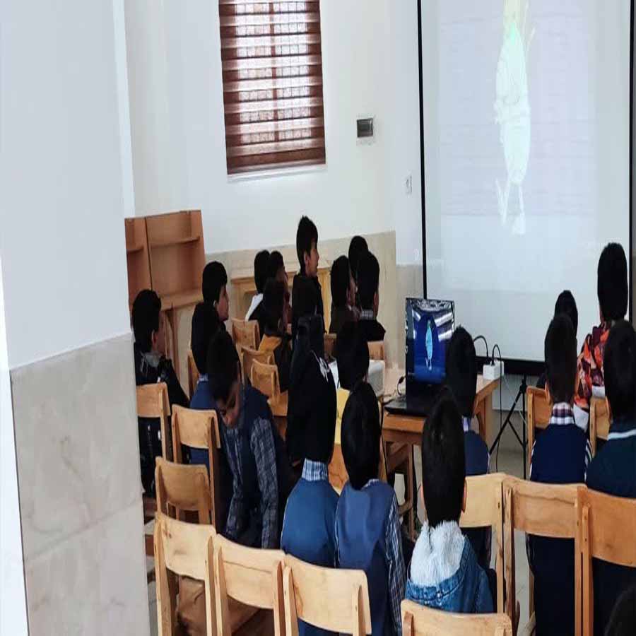 نمایش فیلم ویژه کودکان